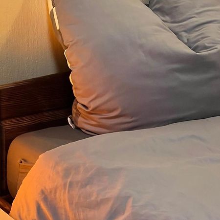 Fewo, Monteurwohnung Pauline Gorxheim エクステリア 写真
